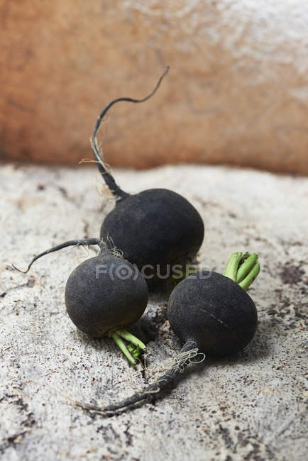 Frisch gepflückter ganzer schwarzer Rettich — Stockfoto