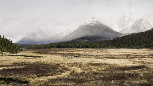 Paese Kananaskis, Bow Valley Provincial Park, Kananaskis, Alberta, Canada — Foto stock