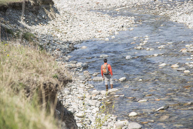 Vista trasera del joven caminando a través del río Toce, Vogogna, Verbania, Piamonte, Italia - foto de stock