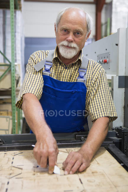 Portrait of factory worker — Stock Photo