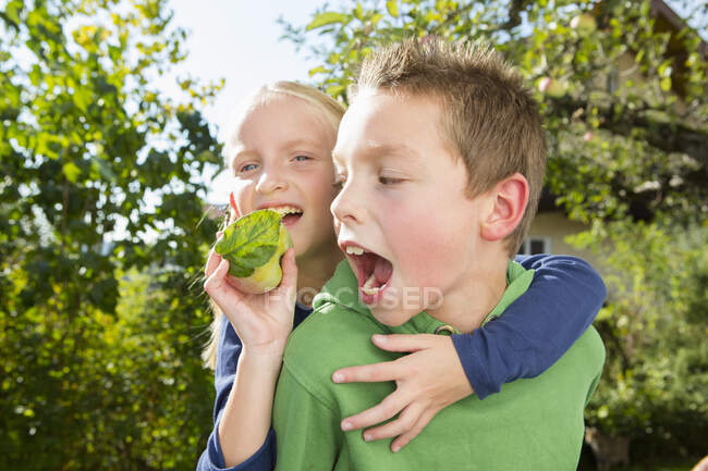 Portrait of boy and sister with picked apple from orchard — Stock Photo