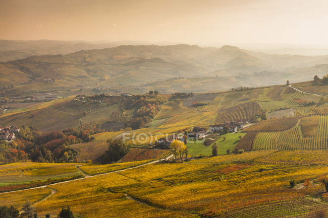Erhöhte Aussicht auf Täler und weit entfernte Herbstweinberge, langhe, piemont, italien — Stockfoto