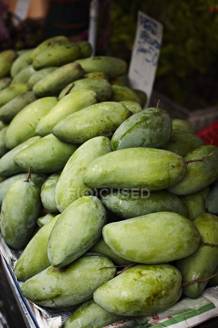 Haufen grüner Mangos — Stockfoto