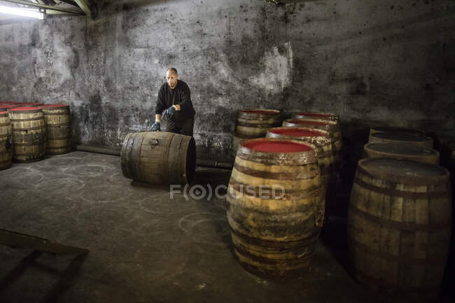 Рабочий, качающий бочку виски на складе виски — стоковое фото