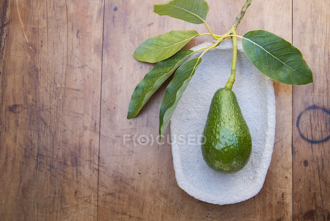 Frisch gepflückte Avocado mit Stiel und Blättern auf dem Teller — Stockfoto