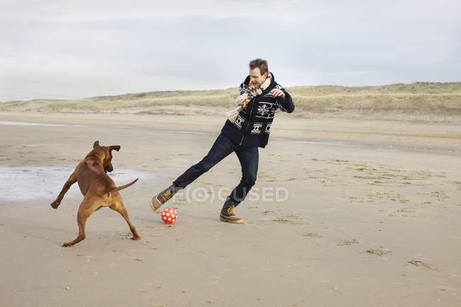 Homem adulto médio com cão jogando futebol na praia, Bloemendaal aan Zee, Países Baixos — Fotografia de Stock