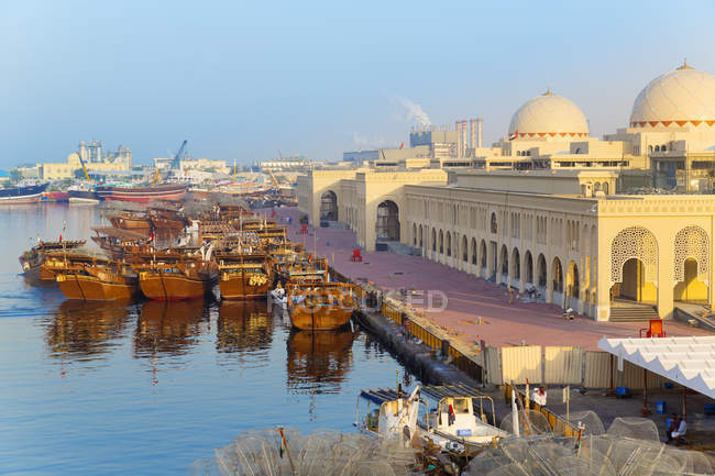 Sharjah mercato del pesce, Emirati Arabi Uniti — Foto stock