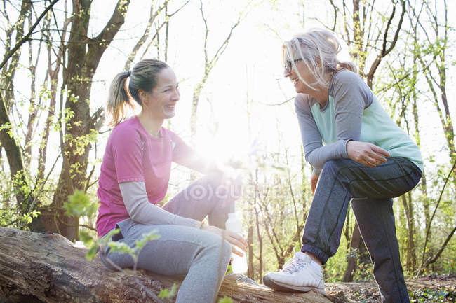 Mujeres en el bosque sentadas en el árbol caído cara a cara sonriendo - foto de stock