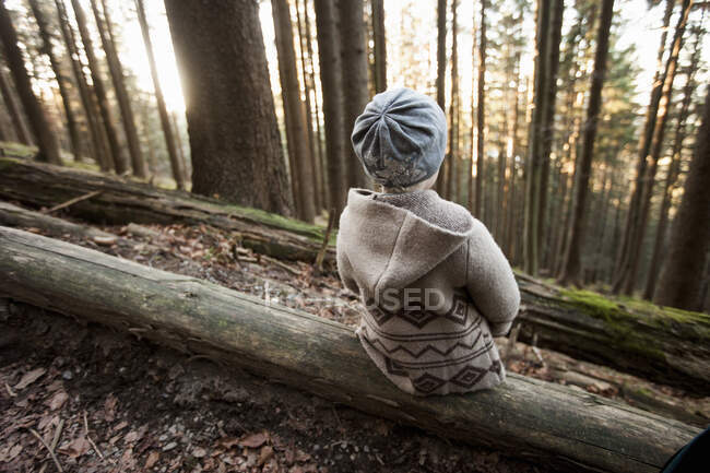Criança feminina sentada em tronco de árvore na floresta, Tegernsee, Baviera, Alemanha — Fotografia de Stock