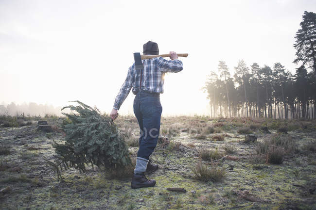 Зрілий лісмен ходить в лісі очищення з сокирою над його плечем — стокове фото