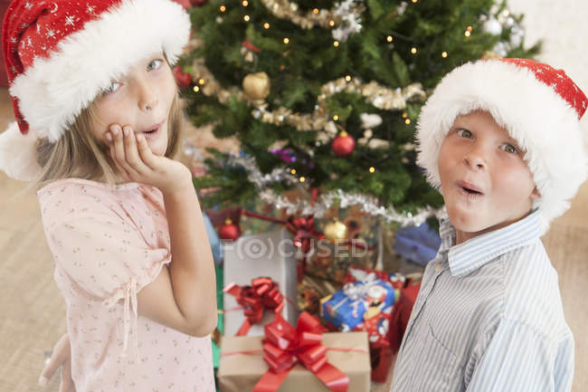 Girl and boy wearing santa hats in front of christmas tree looking at camera excitedly — Stock Photo