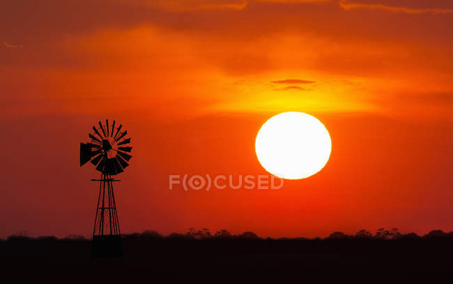 Vista panorâmica do parque nacional de etosha ao pôr do sol — Fotografia de Stock