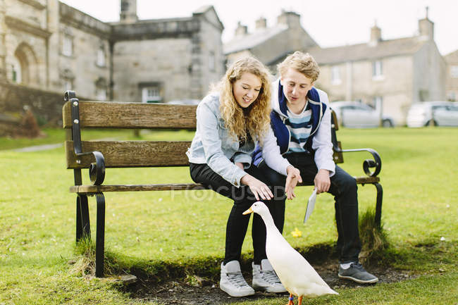 Брат-підліток і сестра дивиться качку з лави — стокове фото