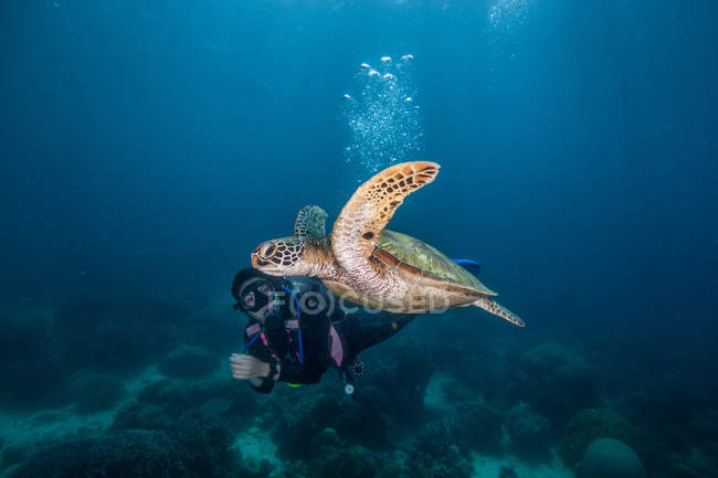 Junge Frau schwimmt mit seltener grüner Meeresschildkröte (chelonia mydas), Moalboal, Cebu, Philippinen — Stockfoto