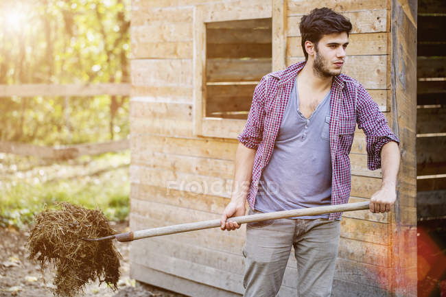 Young male farmer cleaning out stable, Premosello, Verbania, Piemonte, Italy — Stock Photo
