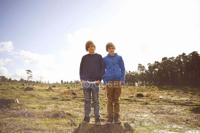 Retrato de hermanos gemelos en el claro del bosque - foto de stock