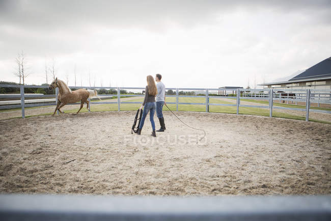 Two stablehands training palomino horse in paddock ring — Stock Photo