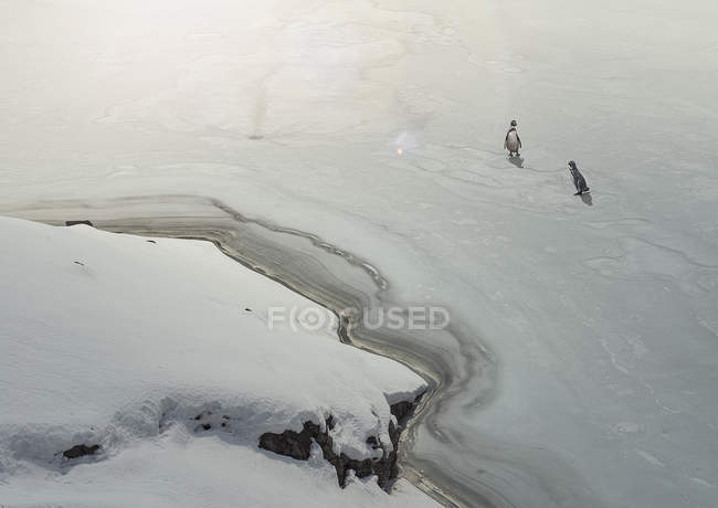 Vista aérea de dos pingüinos en el lago congelado - foto de stock
