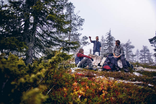 Excursionistas en el campamento entre árboles, Laponia, Finlandia - foto de stock