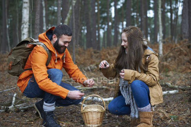Молода пара, що ходить, збирає соснові шишки в лісі — стокове фото