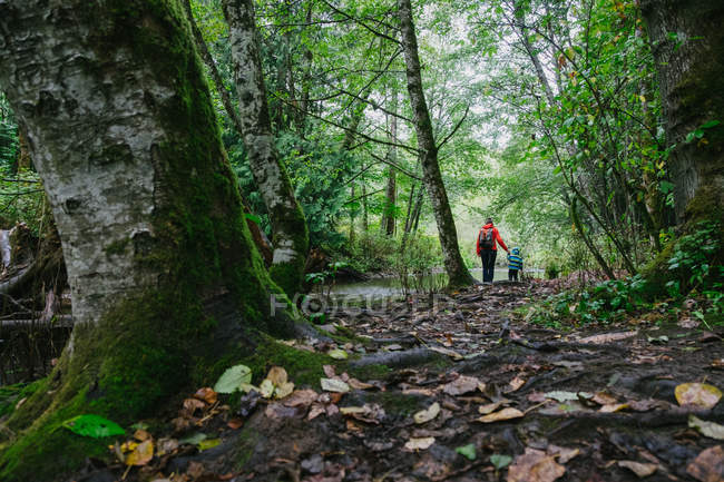 Vue arrière de la mère et du fils marchant dans la forêt — Photo de stock