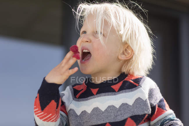 Portrait of boy eating raspberries on fingers — Stock Photo