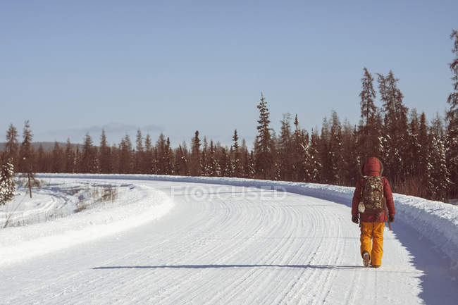Человек, идущий по покрытой снегом дороге, Фэрбенкс, Аляска — стоковое фото