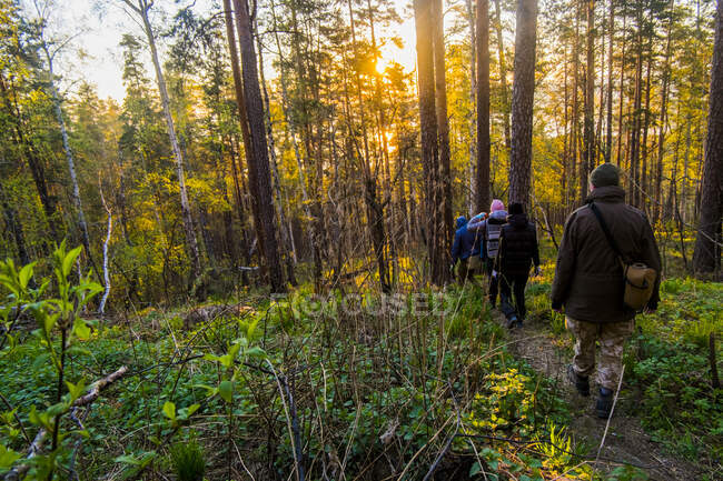Пешие туристы пересекают лес на закате — стоковое фото