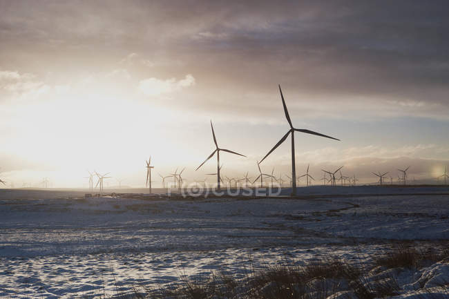 Turbinas eólicas en paisaje arenoso - foto de stock