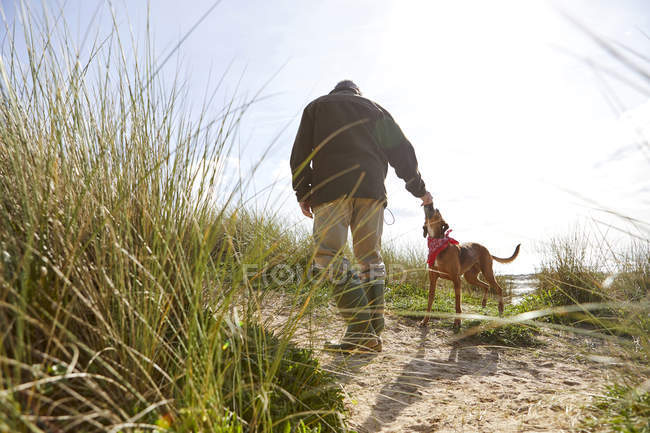 Чоловік гуляє з собакою на піщаній дюні, вид ззаду — стокове фото
