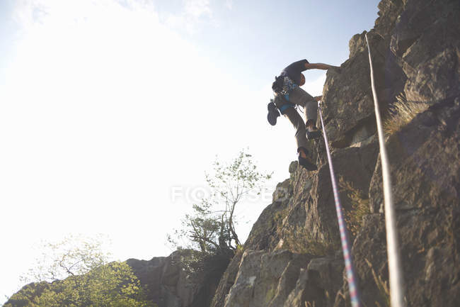 Visão de baixo ângulo de escalador de rocha escalada rosto de rocha — Fotografia de Stock