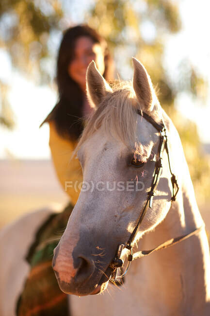 Білий кінь з жінкою. — стокове фото