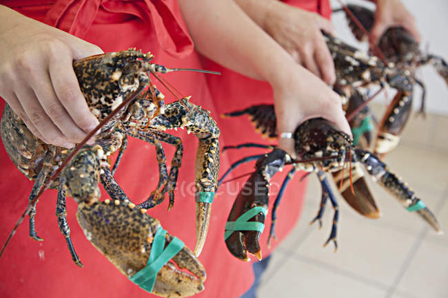 Femmes détenant des homards frais — Photo de stock