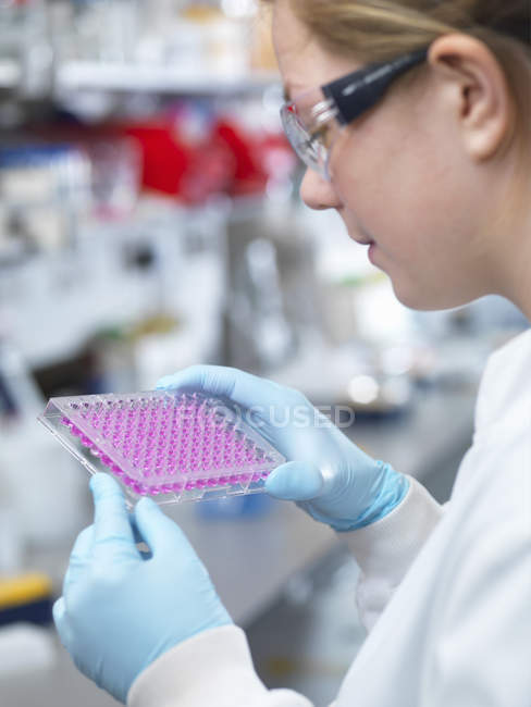 Scientist holding a multi well plate, Jenner Institute, Oxford University — Stock Photo