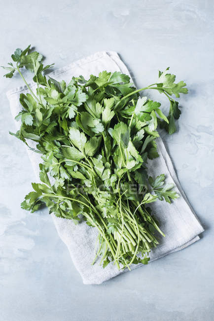 Bunch of fresh picked parsley on cloth napkin — Stock Photo