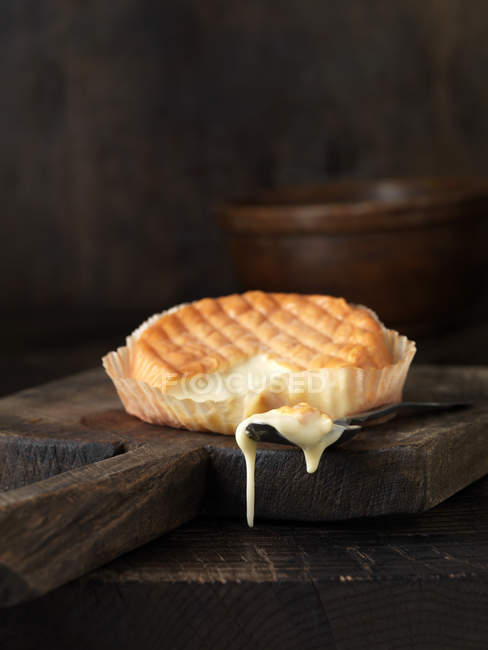Жареный сыр шаблис на деревянной доске — стоковое фото