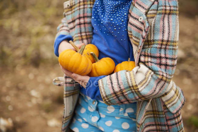 Cropped image of child holding ripe small pumpkins for halloween — Stock Photo