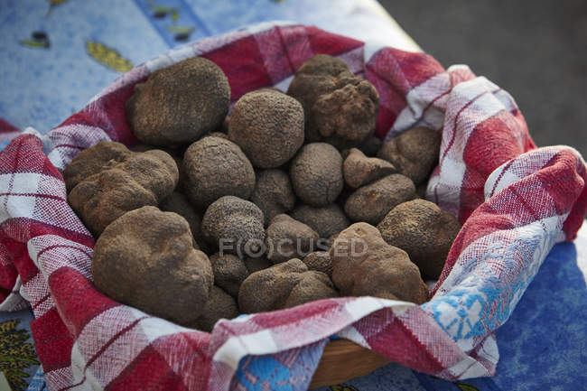 Bowl of fresh truffle mushrooms with tea towel — Stock Photo