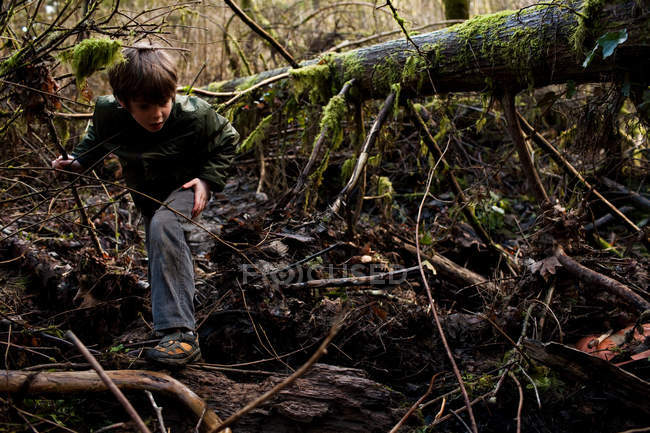Хлопчик гуляє лісом — стокове фото