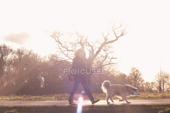 Mitte erwachsene Frau geht mit ihrem Pyrenäen-Sennenhund spazieren — Stockfoto