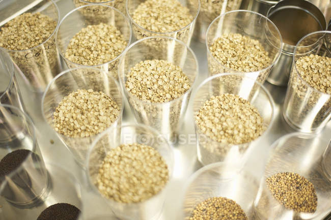 Top view of seed containers in underground tunnel nursery, London, UK — Stock Photo