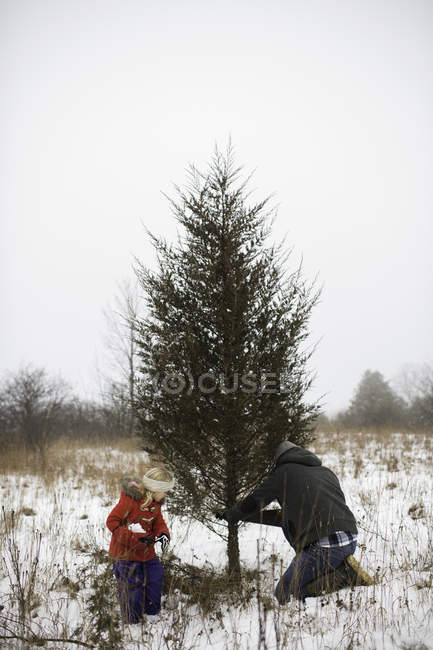 Padre e hija talando el árbol de Navidad en el jardín - foto de stock