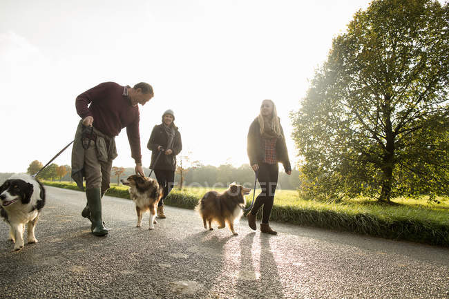 Casal sênior e neta com cães, Norfolk, Reino Unido — Fotografia de Stock