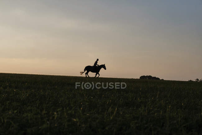 Silhouetted view of woman riding horse in field — Stock Photo