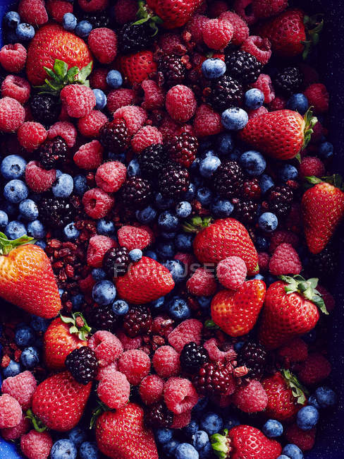 Un montón de fresas, moras, arándanos, frambuesas y arándanos - foto de stock