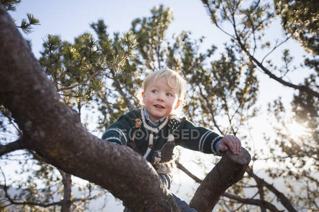 Happy female toddler climbing tree in forest — Stock Photo