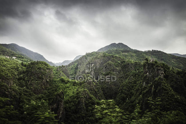 Árvore coberto montanhas sob céu nublado dramático — Fotografia de Stock