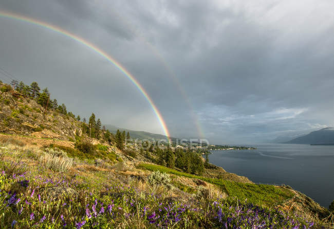 Летний шторм и двойная радуга над соснами Пандероса, озером Оканаган и долиной Южный Оканаган, Нарамата, Британская Колумбия, Канада — стоковое фото