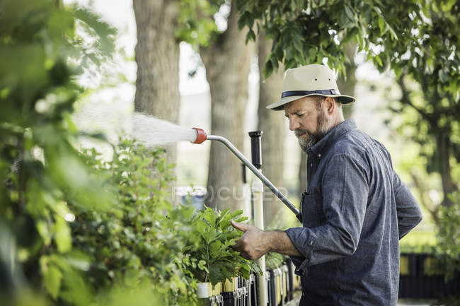 Scientist spraying plants at plant growth research facility — Stock Photo