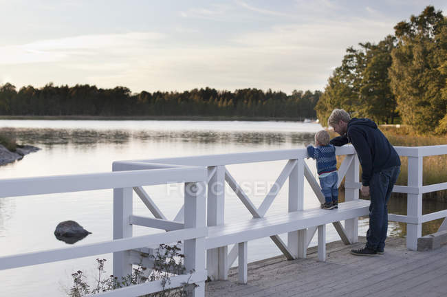 Батько і син дивляться на озеро — стокове фото